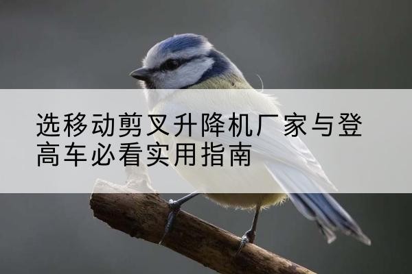 凉山电动升降机厂家-选移动剪叉升降机厂家与登高车必看实用指南