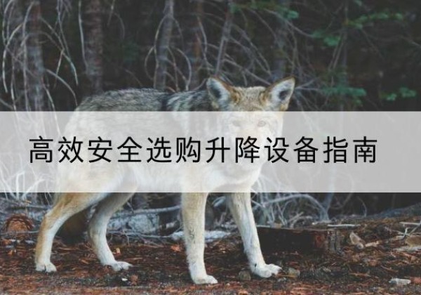凉山升降货梯厂家推荐-*安全选购升降设备指南
